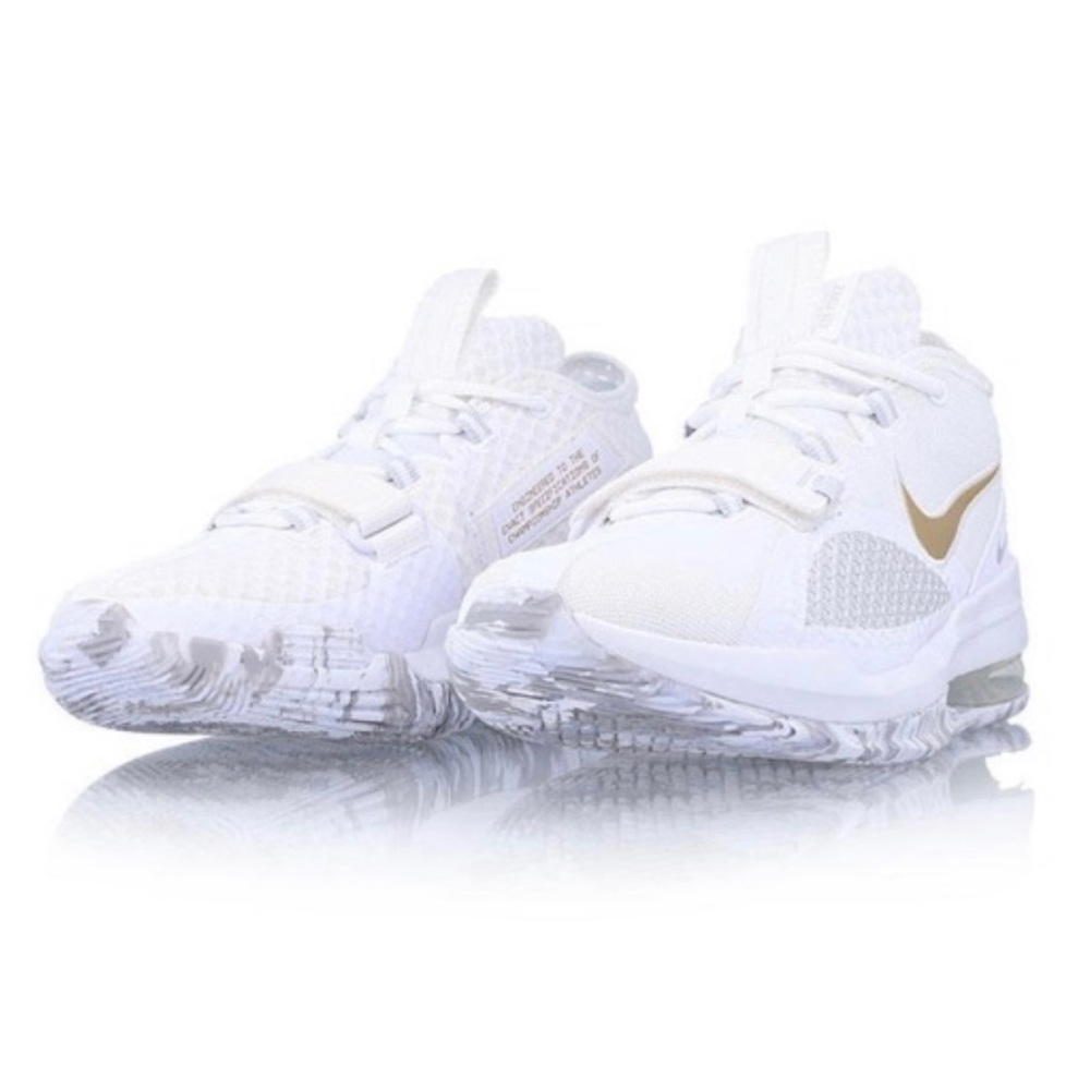 The Nike Air Force Max Low w 10